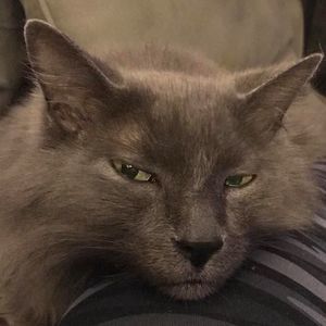 Meet your Posher, Carolyn